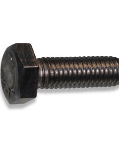 Hexagon head screw M 10x 30 SST DIN 933